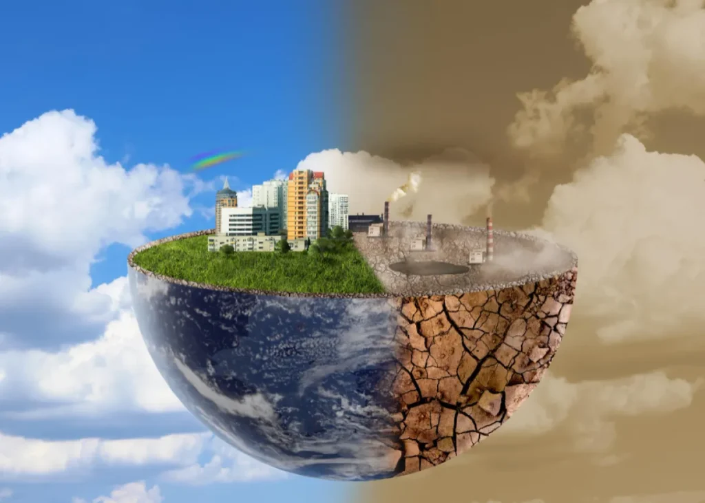 تاثیرات زیست محیطی عینک چوبی هایکا