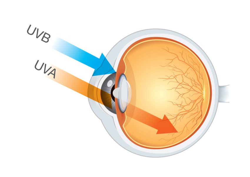 نمودار تاثیر اشعه UV بر چشم انسان