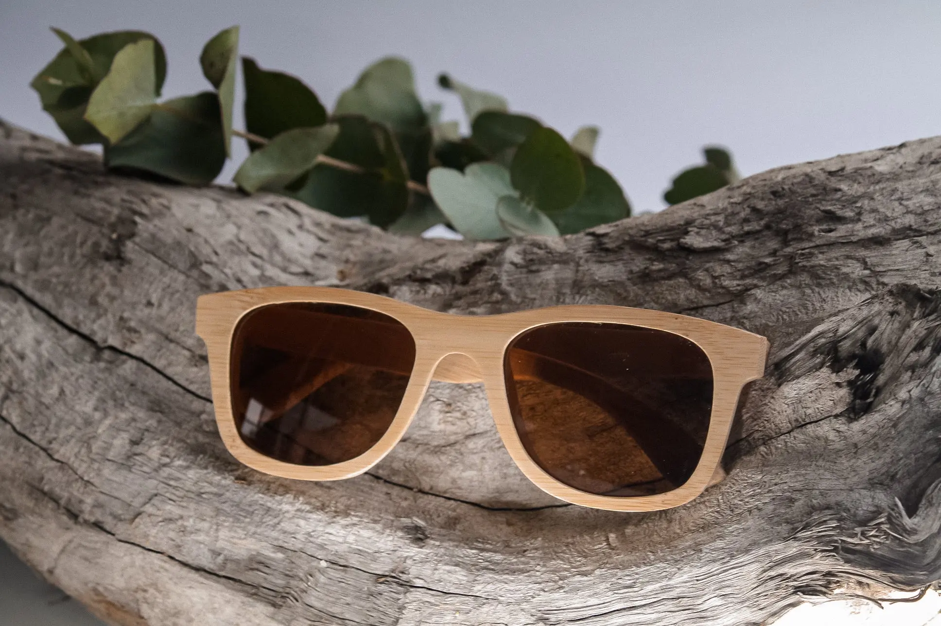 عینک چوبی برند Panda Eyewear با طراحی لوکس